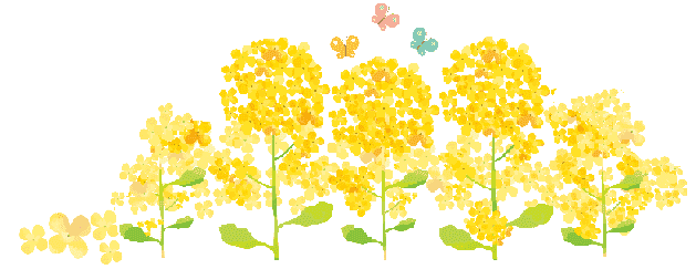 菜の花イラスト