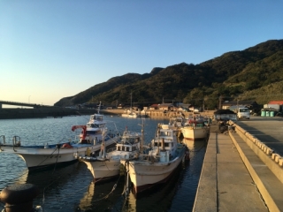 向小浦の漁港9-20