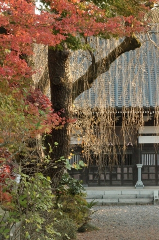 temple in autumn