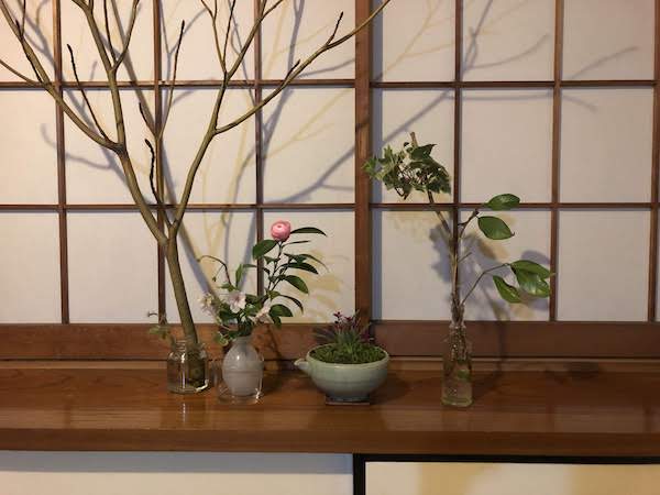 和室に山野草と季節の花を飾る 東京を中心に探訪日記 Since 06