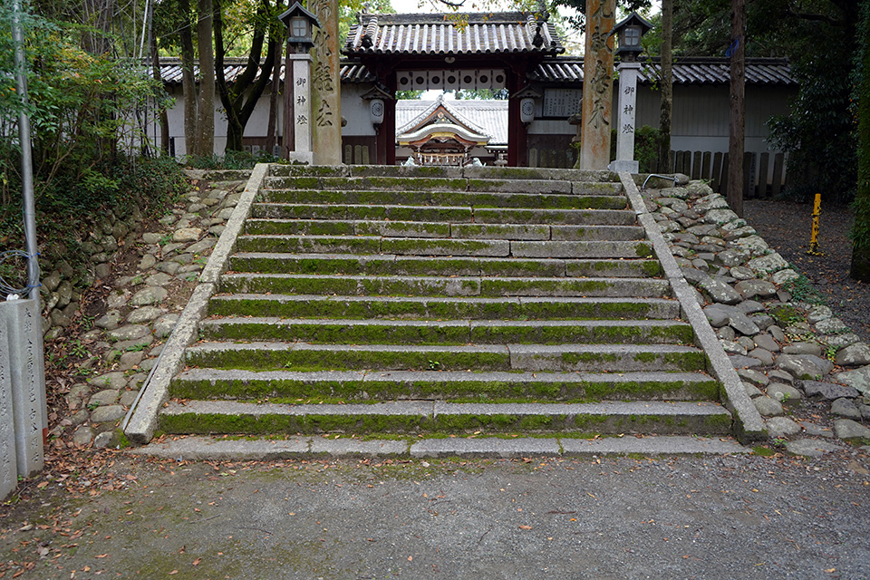 日根神社-5(201019)