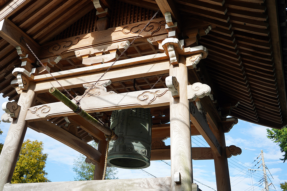 日根神社-7(201019)
