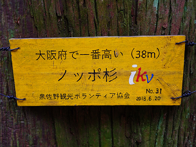 犬鳴山-1(201126)